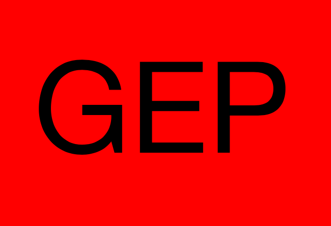 GEP - Gender Equality Plan